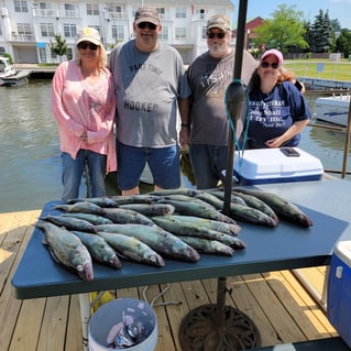 Lake Erie Walleye Run