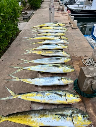 TULUM FISHING PREMIUMJ ADVENTURE