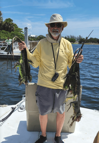 Iguana Hunting in Delray Beach, Florida