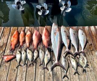 Offshore/Nearshore Fishing on the East Coast of FL