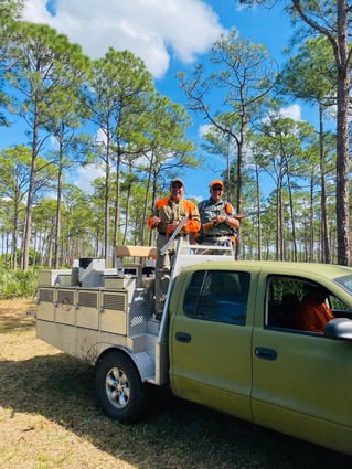 SE FL Quail Hunts