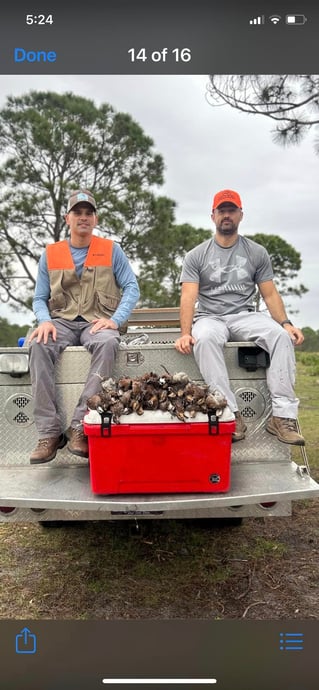 SE FL Quail Hunts