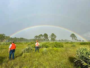 SE FL Quail Hunts