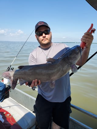 Lake Erie Catfish Special