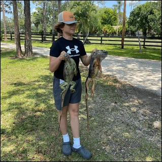 West Palm Beach Iguana Hunt