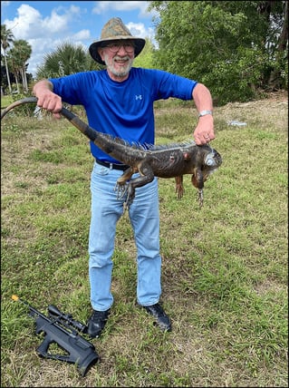 West Palm Beach Iguana Hunt