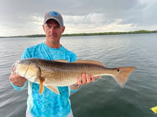 Grouper and Snapper trips