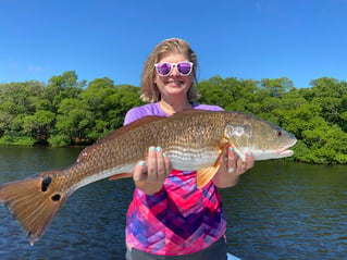 Grouper and Snapper trips