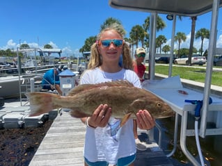 Grouper and Snapper trips