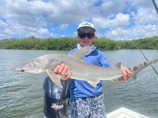 Grouper and Snapper trips