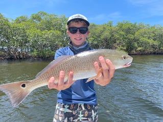 Grouper and Snapper trips