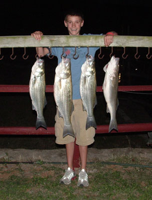 Lake Buchanan Striper Fishing Trip