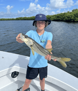 Tampa Bay Toads!