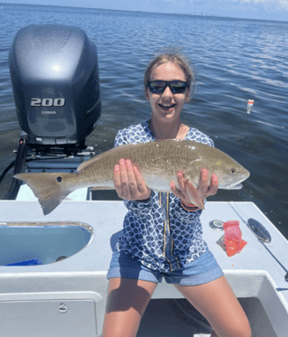 Tampa Bay Toads!