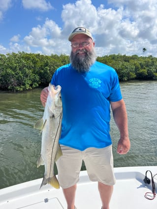 Snook Fishing in Bay Pines, Florida