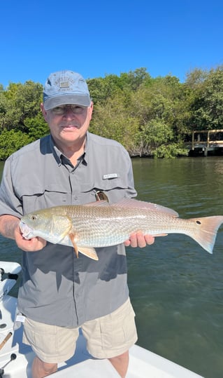 Redfish Fishing in Bay Pines, Florida