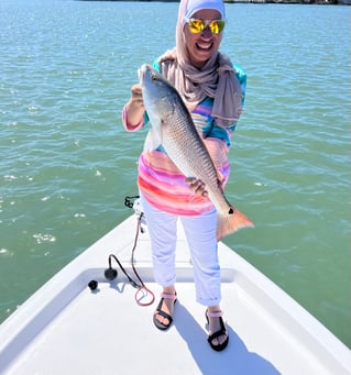 Redfish Fishing in Bay Pines, Florida