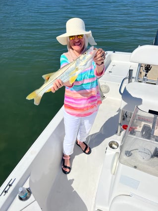 Snook Fishing in Bay Pines, Florida