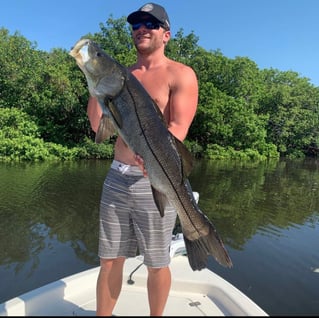 Snook Fishing in Bay Pines, Florida