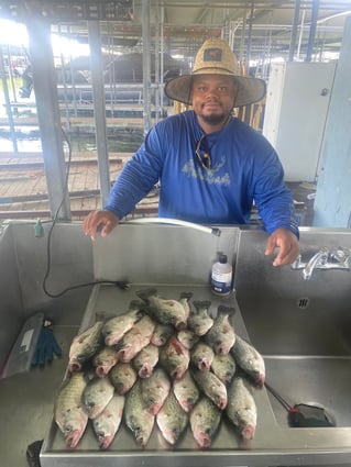 Lake Ray Hubbard White Bass+