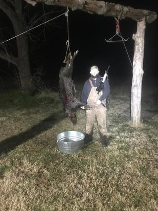 Weekend Long Hog Takedown!