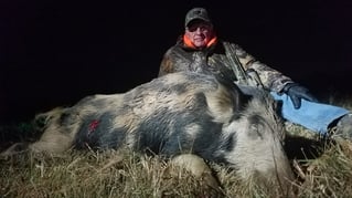 Hog Fishing in Bowie, Texas