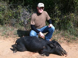 Hog Hunt Fun- w/ Lodging