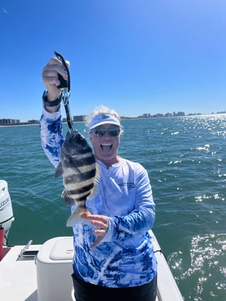 Sheepshead Fishing in Naples, Florida