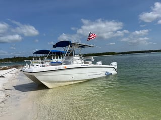 4 Hour Backwater/Nearcoastal Fishing Charter