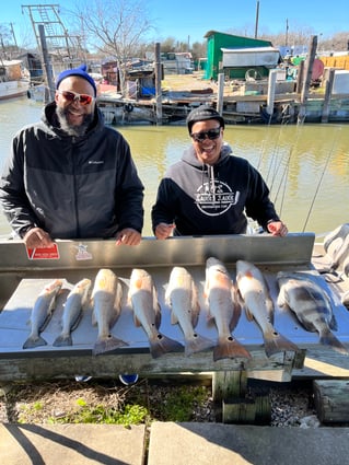 Black Drum, Redfish Fishing in Baytown, Texas