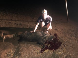 West Texas Hog Hunts with Lodging!