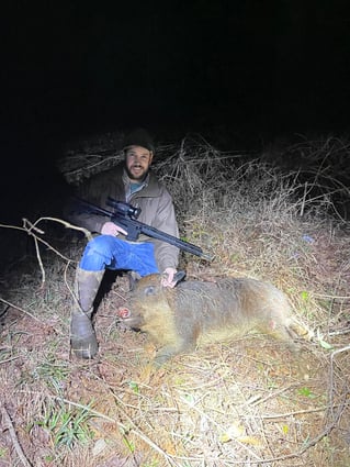 Hog Hunting in