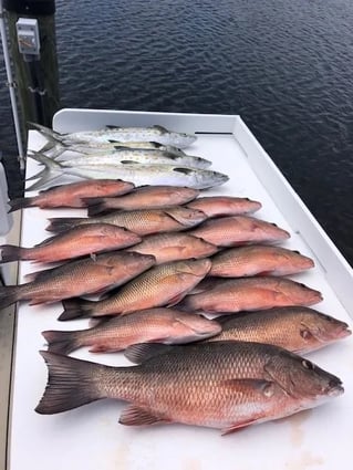 Bradenton Inshore Fishing