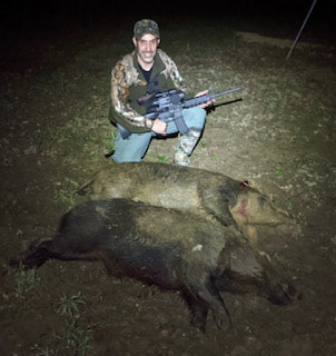 Hog Hunting in Samson, Alabama