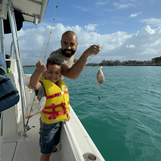 Inshore trip/ gentle waters