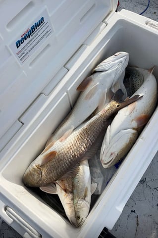 Redfish, Speckled Trout Fishing in Rockport, Texas