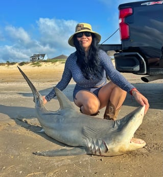 Bull Shark Fishing in Bolivar Peninsula, Texas