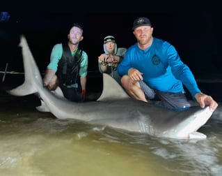 Blacktip Shark Fishing in Bolivar Peninsula, Texas