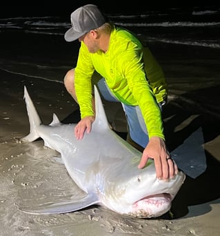 Bull Shark Fishing in Bolivar Peninsula, Texas