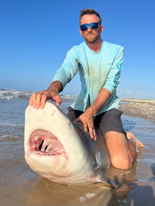 Blacktip Shark Fishing in Bolivar Peninsula, Texas