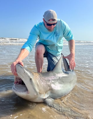 Blacktip Shark Fishing in Bolivar Peninsula, Texas