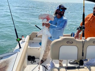 Hammerhead Shark Fishing in Galveston, Texas