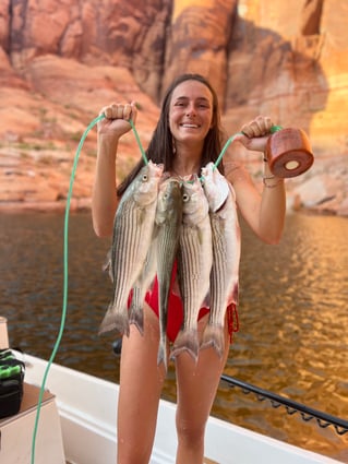 Striped Bass Fishing in Bullfrog, Utah