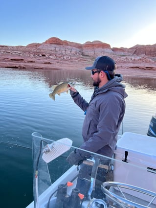 Lake Powell Bass Fishing