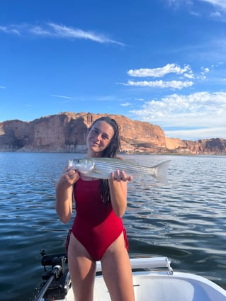 Striped Bass Fishing in Bullfrog, Utah