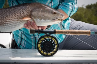 Redfish Fishing in Homosassa, Florida