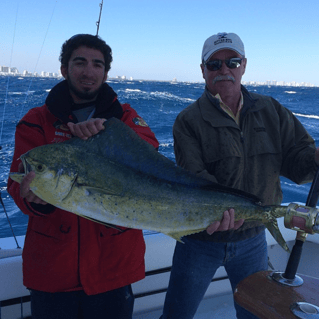 Mahi Mahi Fishing in Hollywood, Florida