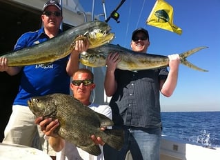 Mahi Mahi Fishing in North Miami Beach, Florida