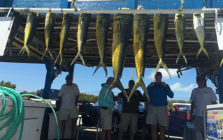 BEST! Sport fishing Trips in Islamorada, Whale Harbor