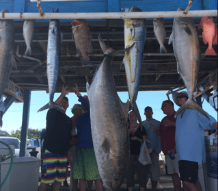 BEST! Sport fishing Trips in Islamorada, Whale Harbor